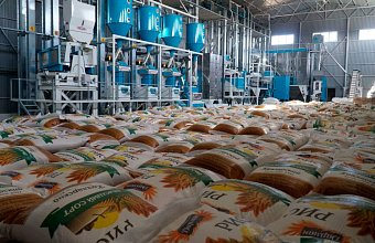 Rice processing plant to be built in northern Dagestan 