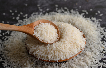 Rice harvesting starts in Dagestan