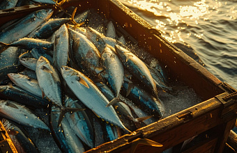Autumn fishing starts in Dagestan 