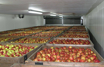 Two fruit storage facilities to be built in southern Dagestan